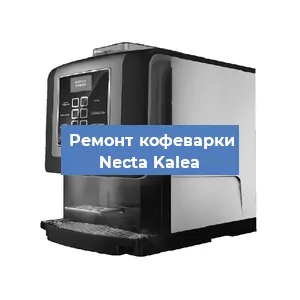 Замена | Ремонт термоблока на кофемашине Necta Kalea в Ростове-на-Дону
